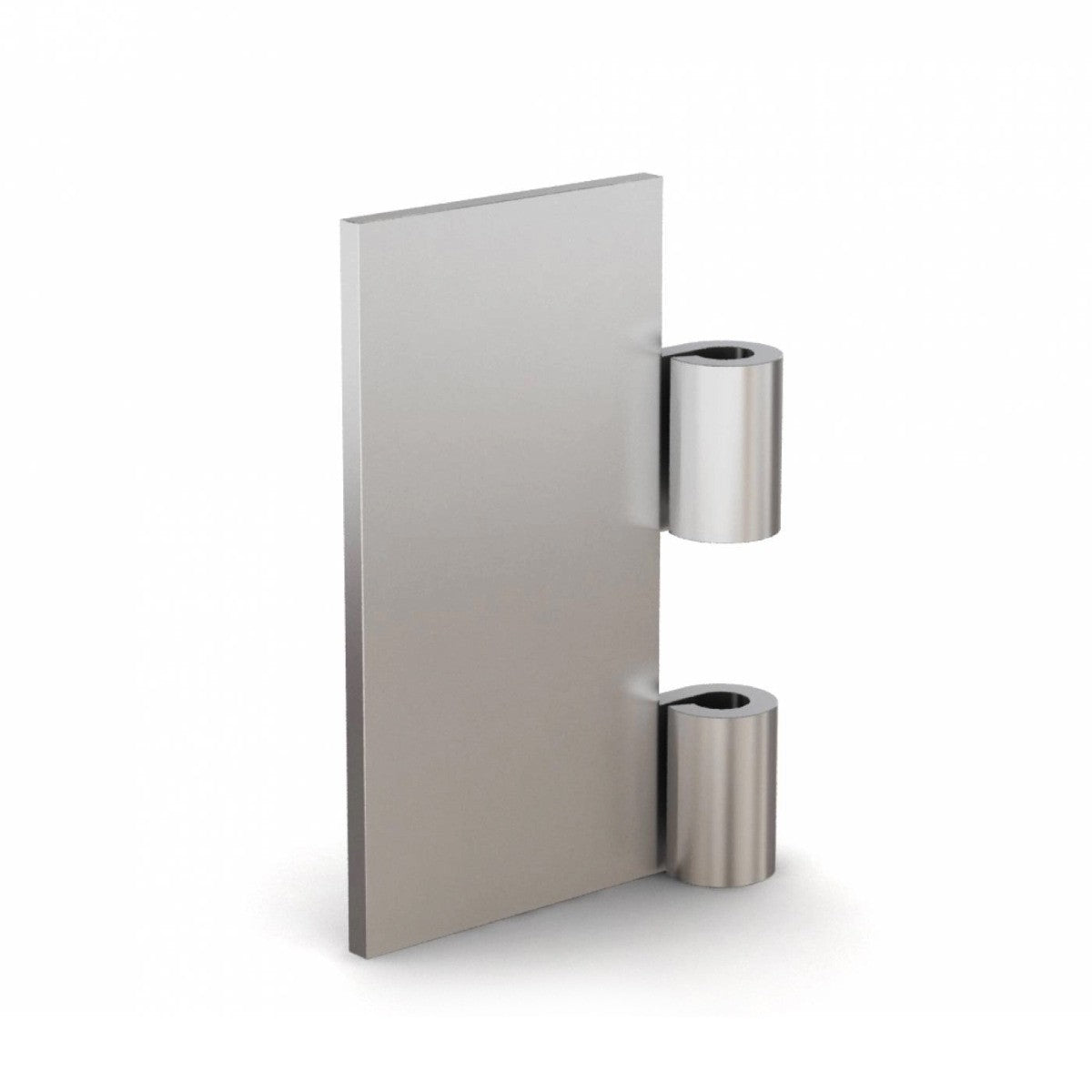 Hinge Half Leaf - Width 50mm x Length 100mm - Thickness 4mm - Stainless Steel 304