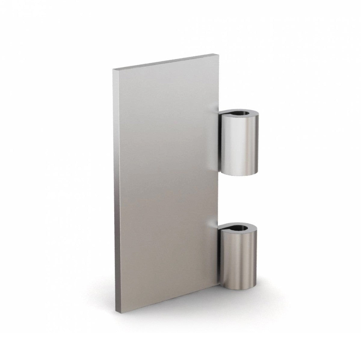 Hinge Half Leaf - Width 50mm x Length 100mm - Thickness 4mm - Steel